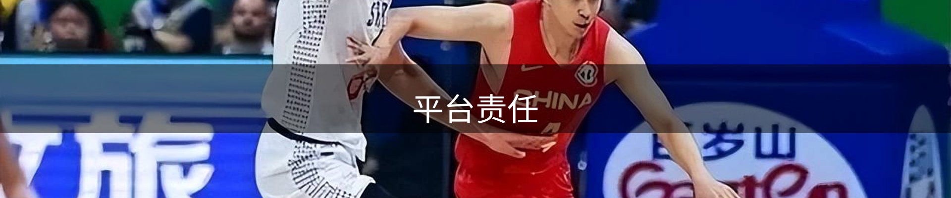 平台责任